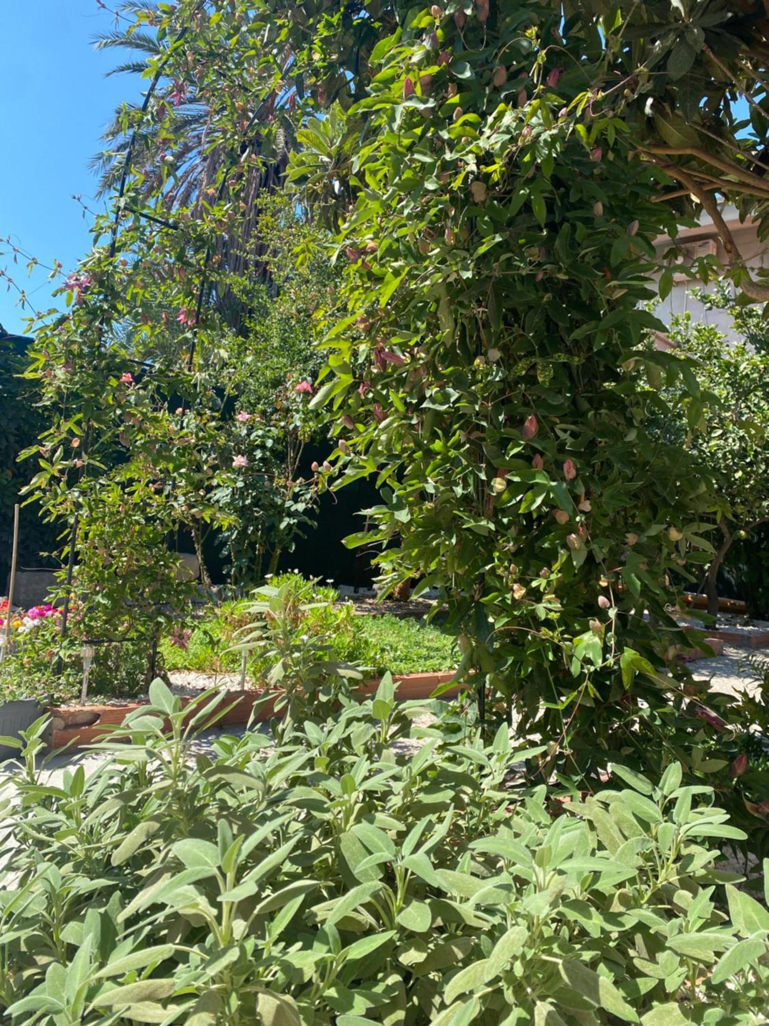 Tesori Del Sinis Villa Cabras Exterior photo